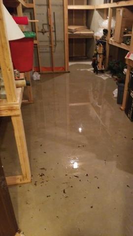 Flooded basement in Glenview, IL