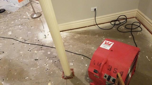 Basement flood in Glenview, IL