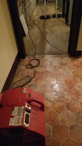 Basement flood in Glenview, IL