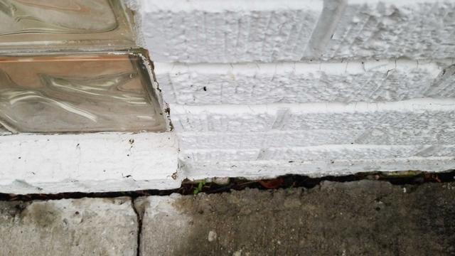 Basement flood in Vernon Hills, IL