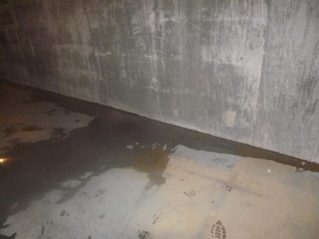 Leaky Basement