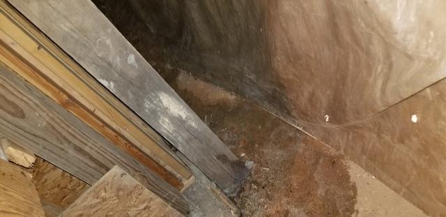 Damp Crawl Space