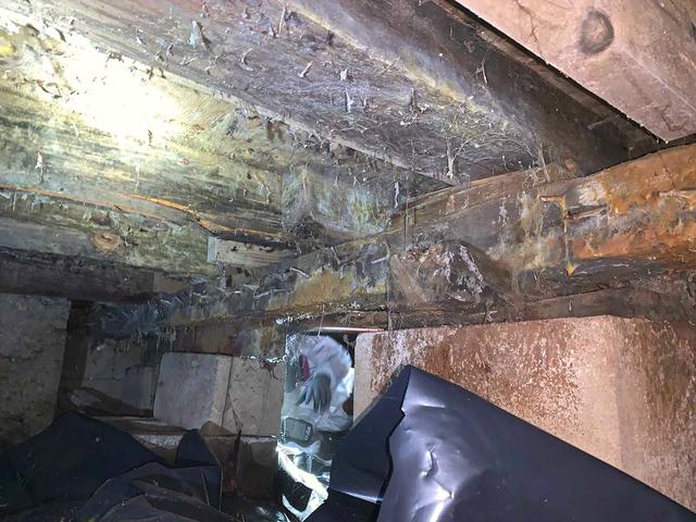 To fix this, we installed a vapor barrier. A vapor barrier is a 20-mil polyethylene liner that will block the evaporation of ground moisture into the crawl space air.