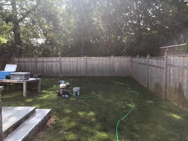 Pre-Staining Photo