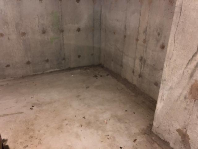 Wet Basement in Northampton, MA