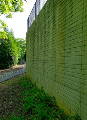 The retaining was was cracking as well as the walls of the house.