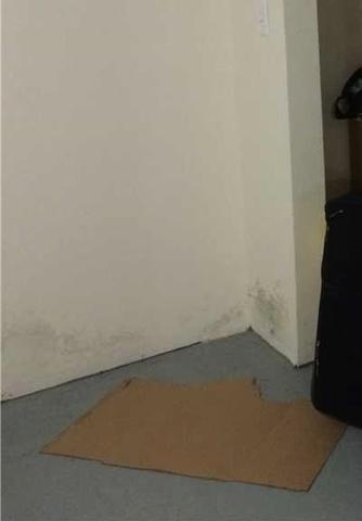 Black Marks on Basement Wall