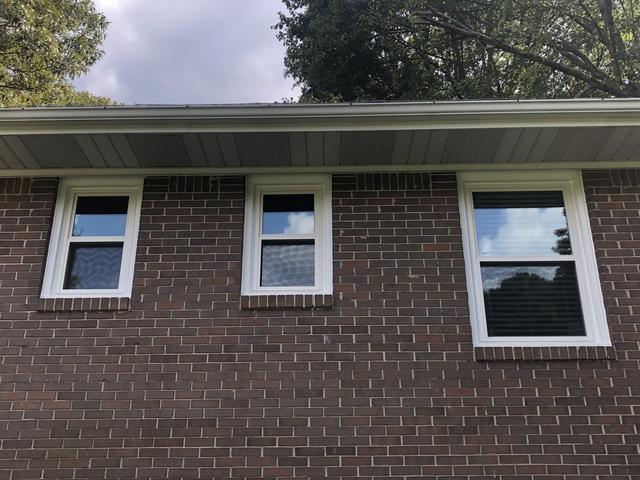 New windows