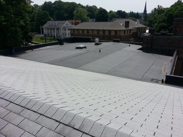 Another Roofing View