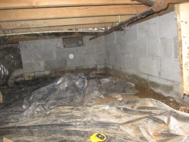 Unhealthy Crawl Space