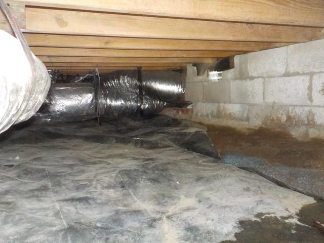 Moist Crawl Space