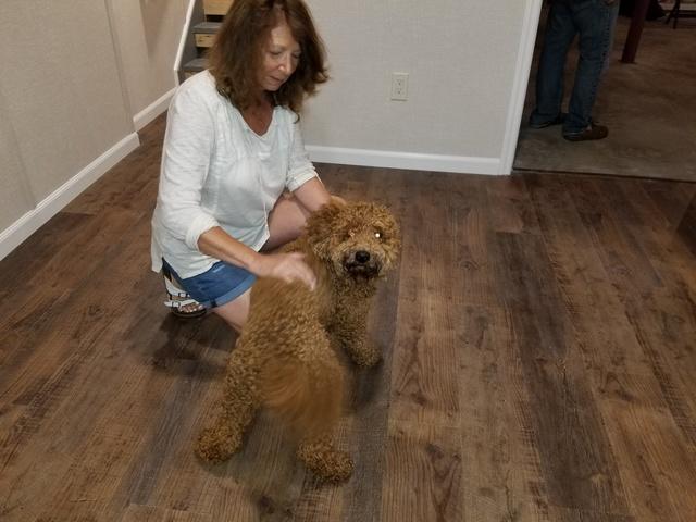 First day in my new basement