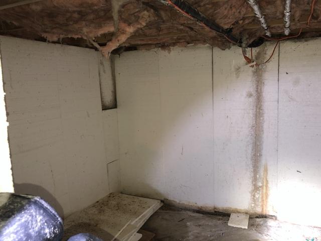 Quite the Moldy Crawl Space