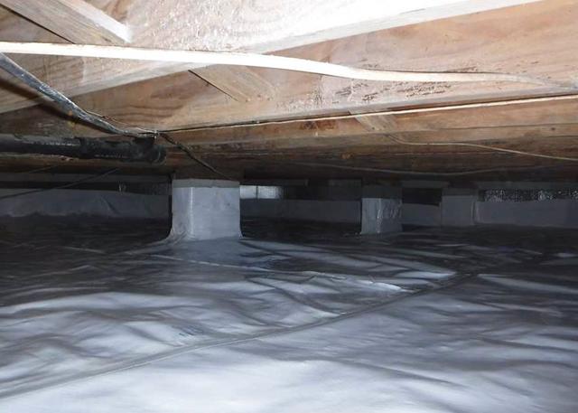 No more Mold and Mildew