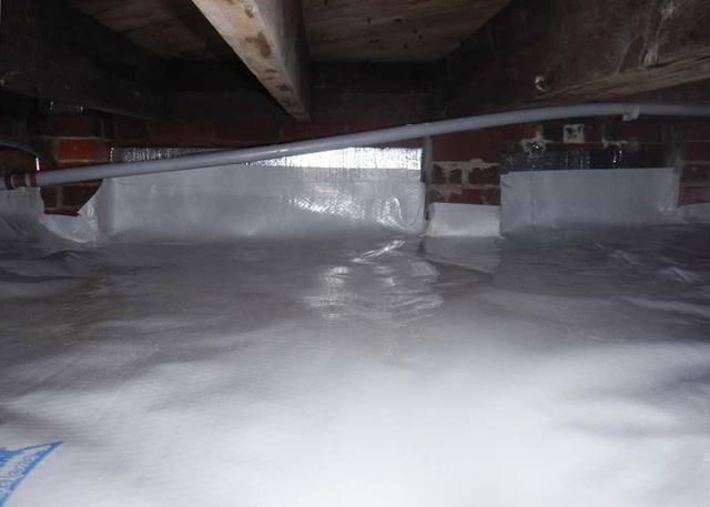 No mold and mildew