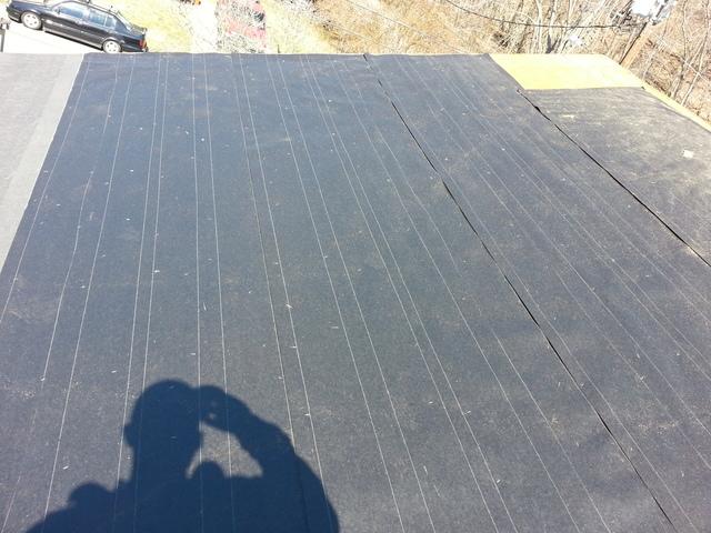 Last Step Before Shingles