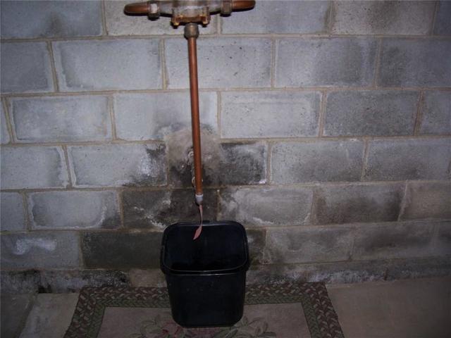 Damp Foundation Walls Are Big Problems