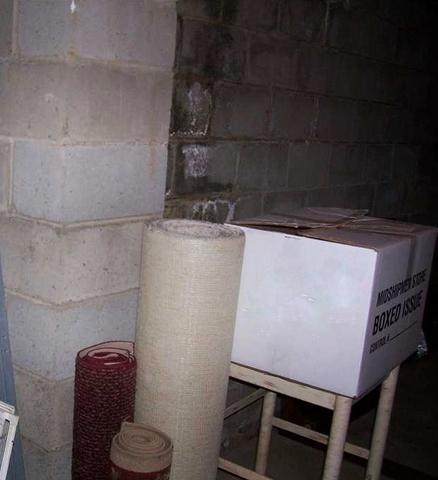 Wet Basement Walls