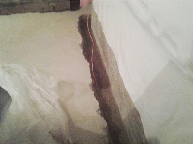 WaterGuard Drainage System