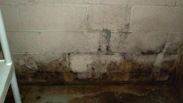 Wet Basement in Hartsdale, NY
