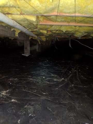 Crawl Space done by CleanSpace Northwest in Sequim Washington