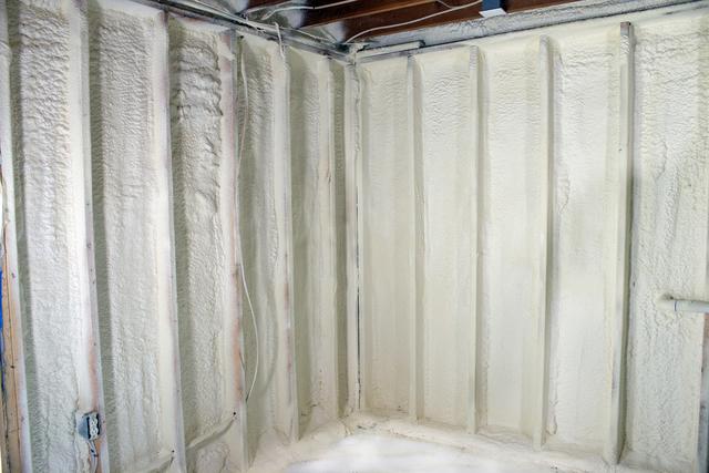 Spray Foam Insulation