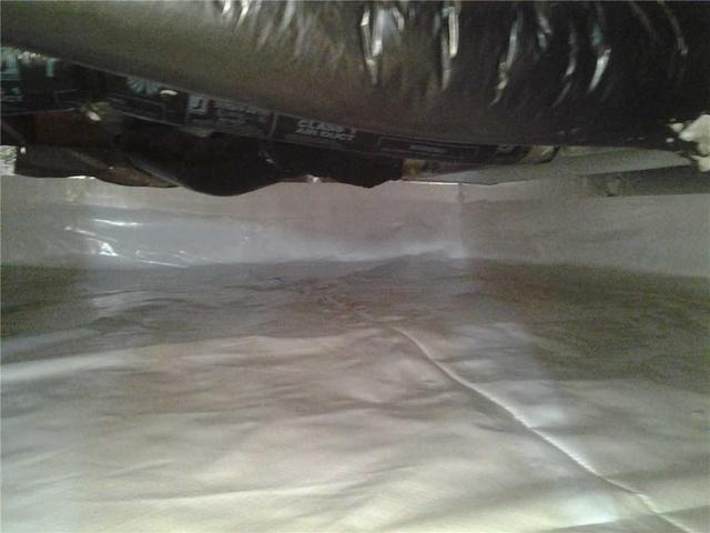 CleanSpace Liner
