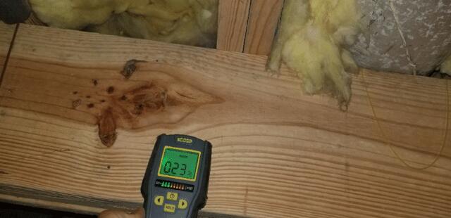 Wood Moisture Content of Crawlspace in Brentwood