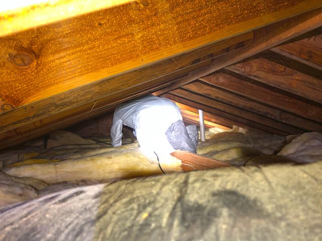 After informing the homeowner what we found in the attic and the cause of the mold, he informed us that he will hire a roofer to install an attic fan in his attic. Now we can begin our treatment process.