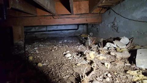 Crawl Space Repair In Bremerton, Washington