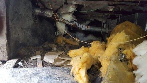 Crawl Space Repair In Bremerton, Washington