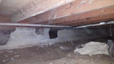 Crawl Space Repair In Bremerton, Washington