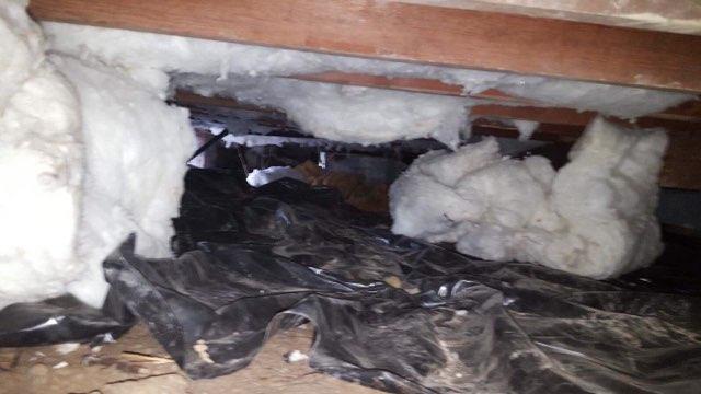 Crawl Space Repair In Bremerton, Washington