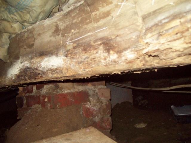 Wood Rot in the CrawlSpace -Earlington KY