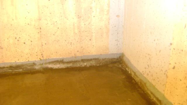 Damp, Moldy Basement in Marion, CT