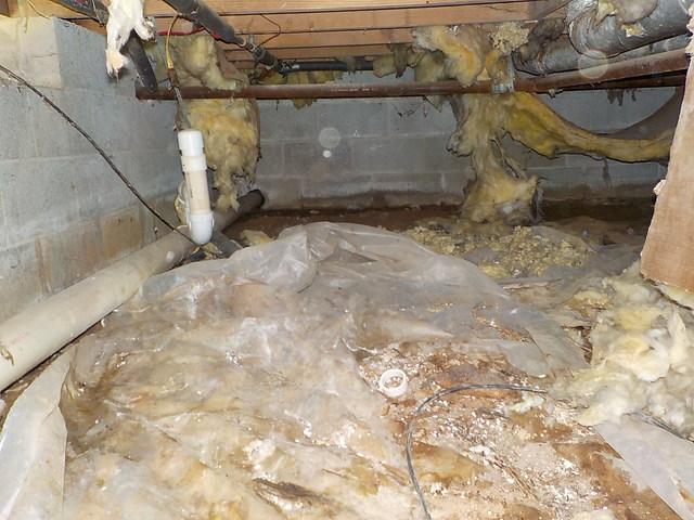 Nasty Crawl Space in Springfield, TN