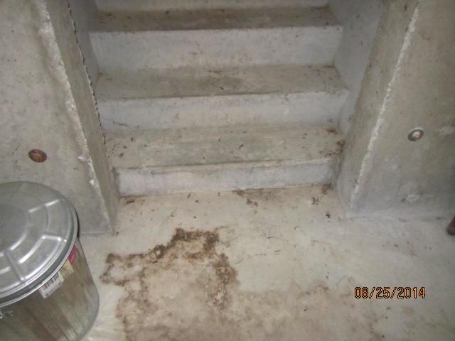 Wet Stairway in North Windham, CT