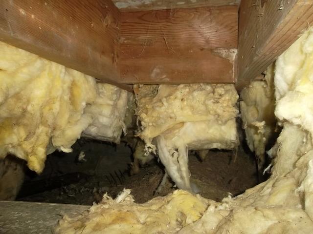 Damp Crawl Space in Waccabuc, NY