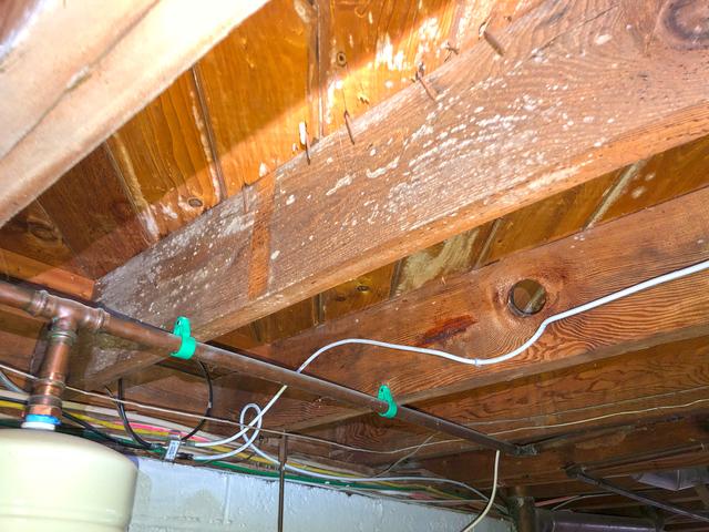 Mold On the Joists in Basking Ridge, NJ