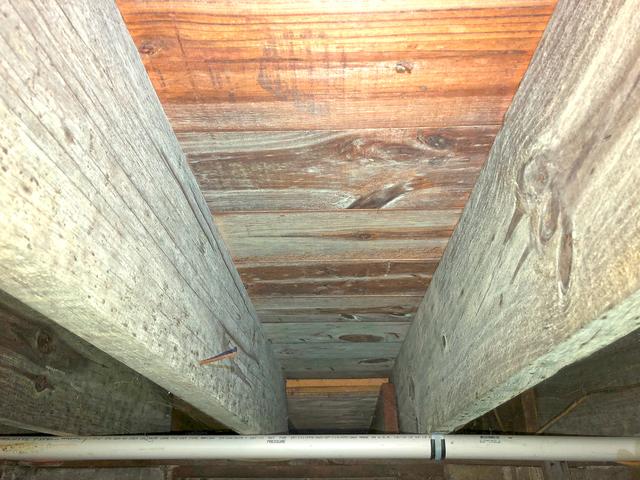 Mold on the Joist in Crawlspace -Hazlet, NJ