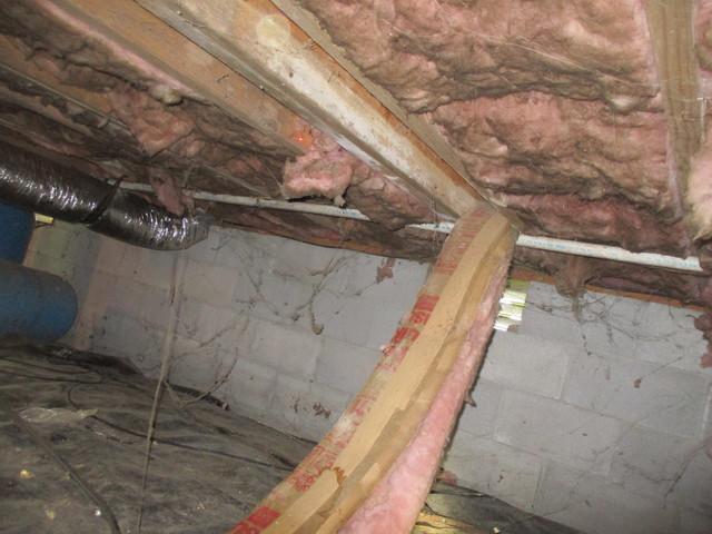 Unhealthy Crawlspace in Lawrenceburg