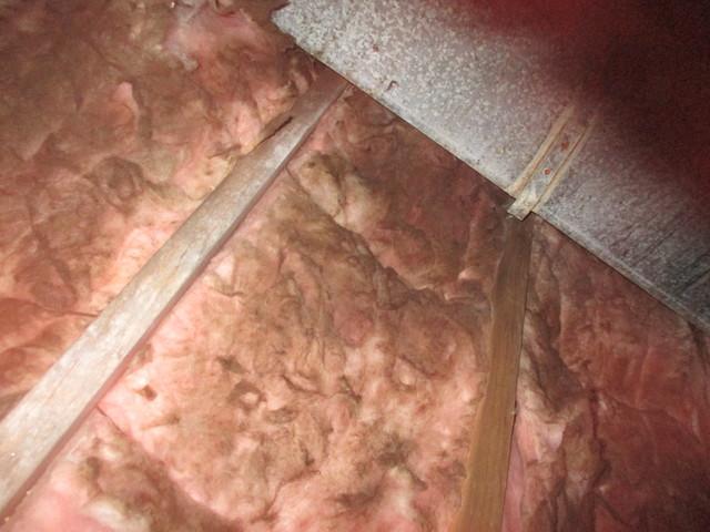 Excessive Moisture -Lawrenceburg, TN