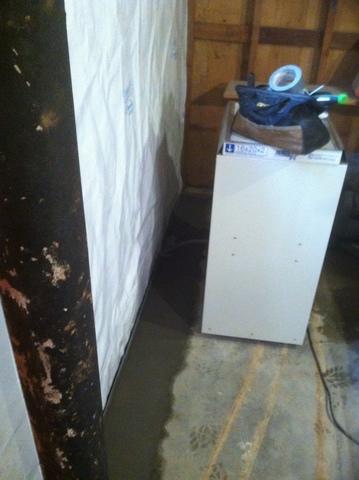 What do I do to reduce my mold risk with a damp basement?