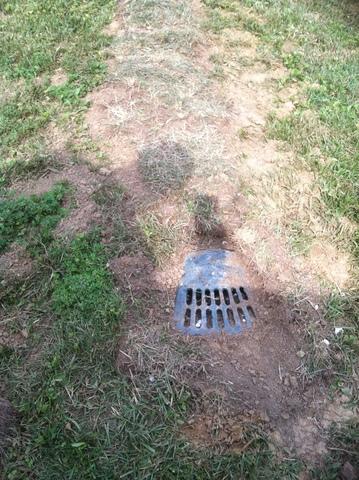 Where does the water in my drainage system go?