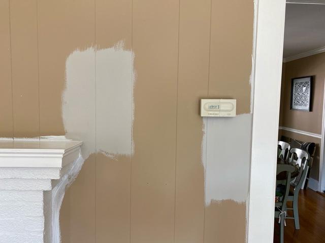 Paint Samples on Walls