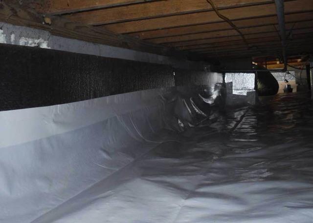 Transformed Crawl Space