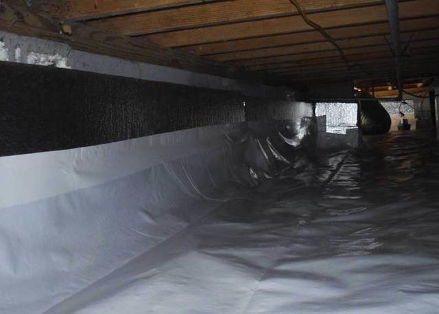 Transformed Crawl Space