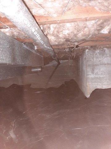 Crawl Space Repair In Olympia Bremerton Silverdale Wa Crawl Space Structural Supports Moisture Barrier System