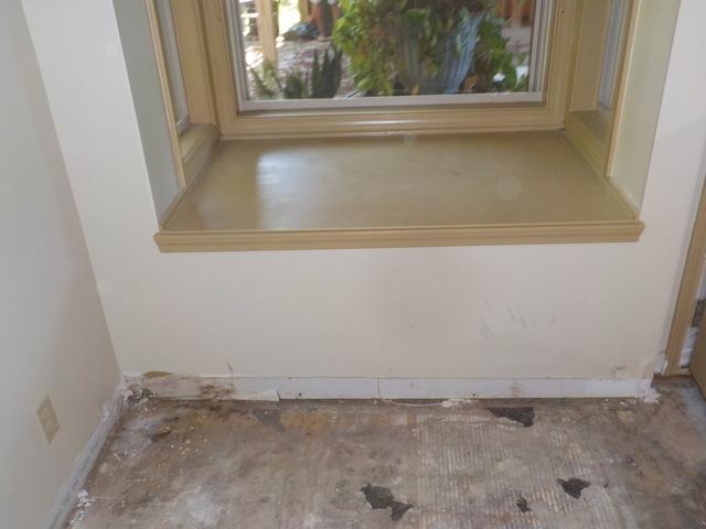 Wood Rot in Clarksville, TN