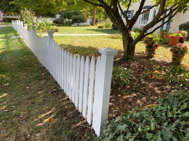 Front Fence Painting